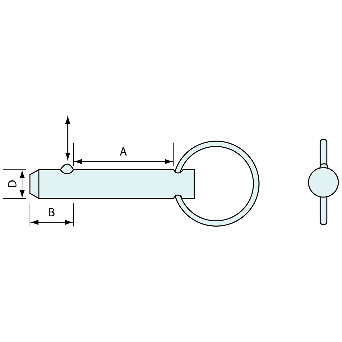 Ring Pull Detent Pin 5mm 25mm